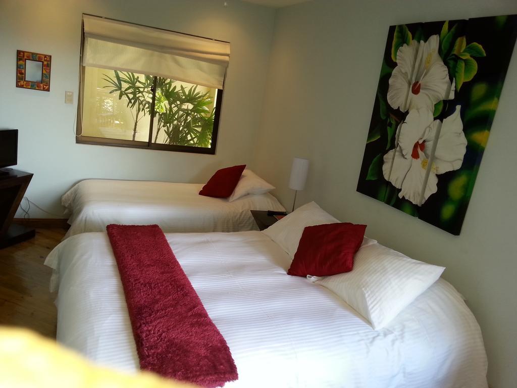Out Of Bounds Boutique Hotel ซานโฮเซ ห้อง รูปภาพ
