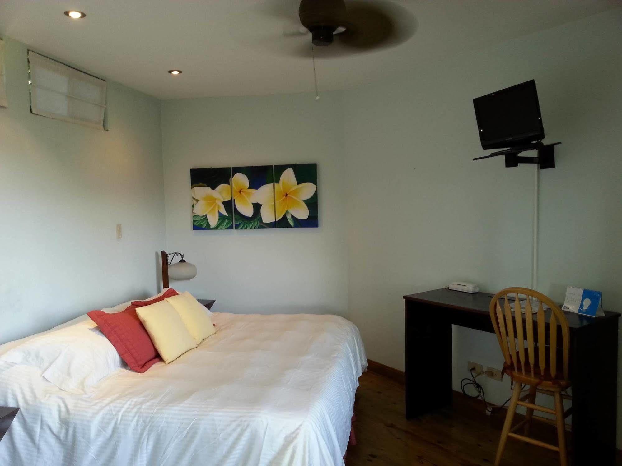 Out Of Bounds Boutique Hotel ซานโฮเซ ภายนอก รูปภาพ
